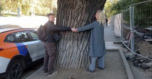 В Лефортово начинают спиливать старейший тополь района. Жители вышли защищать дерево