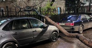 В ночном урагане в Москве пострадали пять человек — на них упали деревья