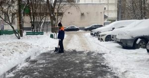 Жители Дегунино боятся показывать своего дворника, думают, что уведут