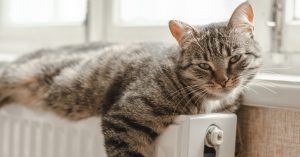 Зависть москвича: в Подмосковье продлили отопительный сезон до 19 мая