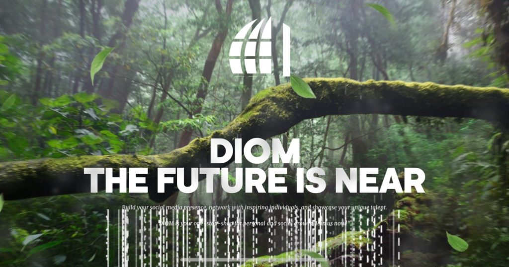Сайт DIOM
