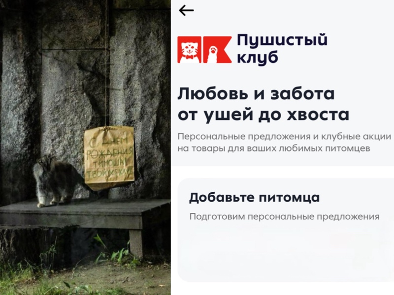Манул Тимофей X5