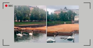 Жители Патриарших массово пишут обращения с требованием остановить строительство павильона на пруду