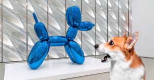 В ММОМА и Музее Москвы оборудуют зоны отдыха для животных