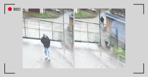 В отношении Сергея Пая, похитившего и убившего собаку Симу, возбудили два уголовных дела