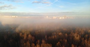 Вид из моего окна: на Битцевский парк