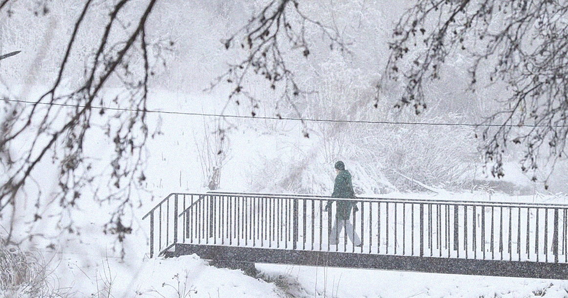 Из-за экстремальной погоды в Москве теперь закрыты еще и парки