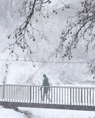 Из-за экстремальной погоды в Москве теперь закрыты еще и парки