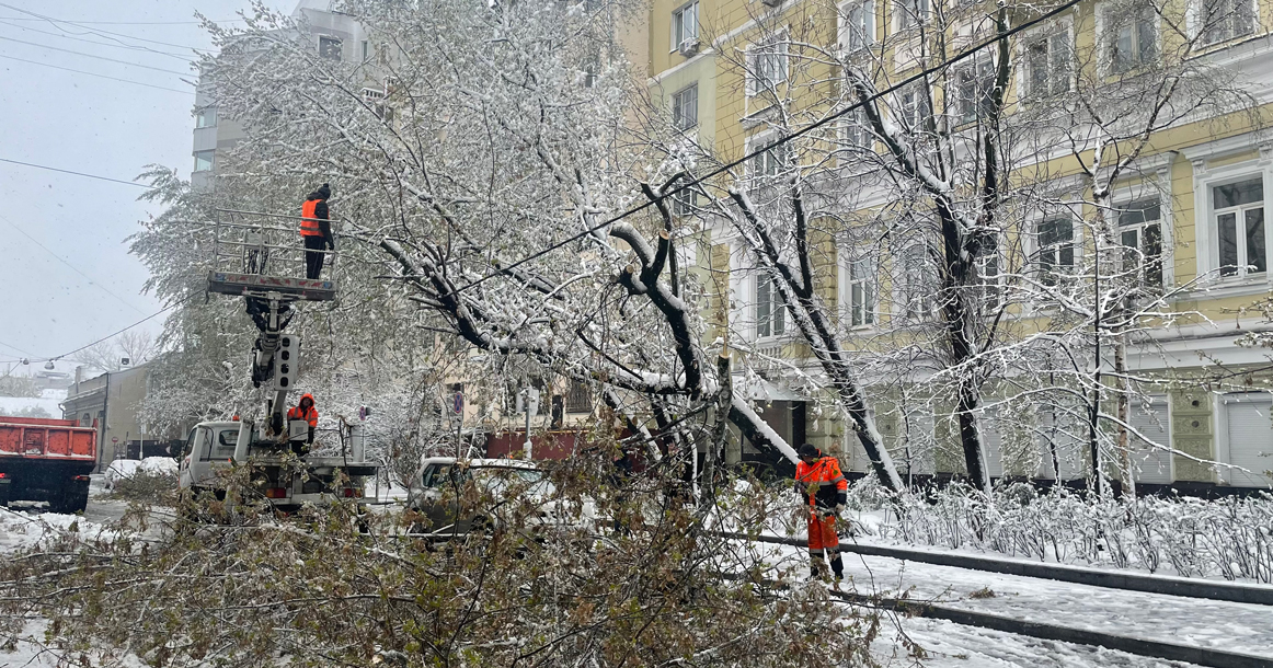 Поваленные деревья, задержки рейсов и такси по цене самолета: до лета остается 33 дня