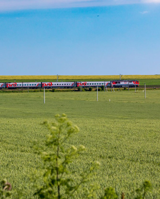 13 поездов между Москвой и югом России застряли в Ростовской области из-за атаки беспилотников