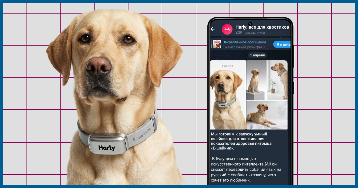 Московский бренд зоотоваров выпустит умные ошейники-переводчики с собачьего