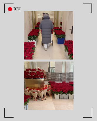 Жительнице ЖК в Раменках кто-то прислал алых роз на 70 миллионов рублей