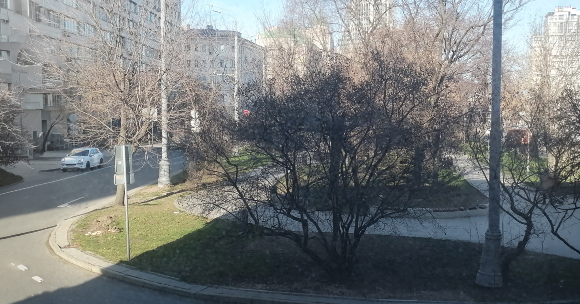 Вид из моего окна: на Садово-Триумфальный сквер