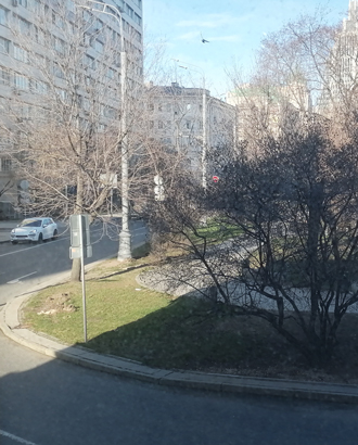 Вид из моего окна: на Садово-Триумфальный сквер