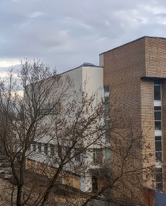 Вид из моего окна: на улицу Гамалеи