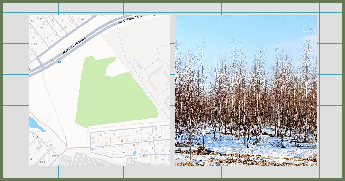 ЦК КПСС пожаловался Собянину на уничтожение зеленой зоны в Щербинке