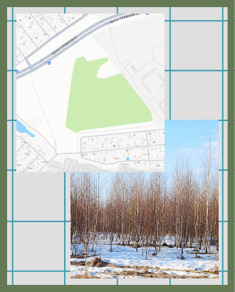 ЦК КПСС пожаловался Собянину на уничтожение зеленой зоны в Щербинке