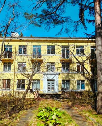 Из петербургского Комарово сделают аналог московского Переделкино