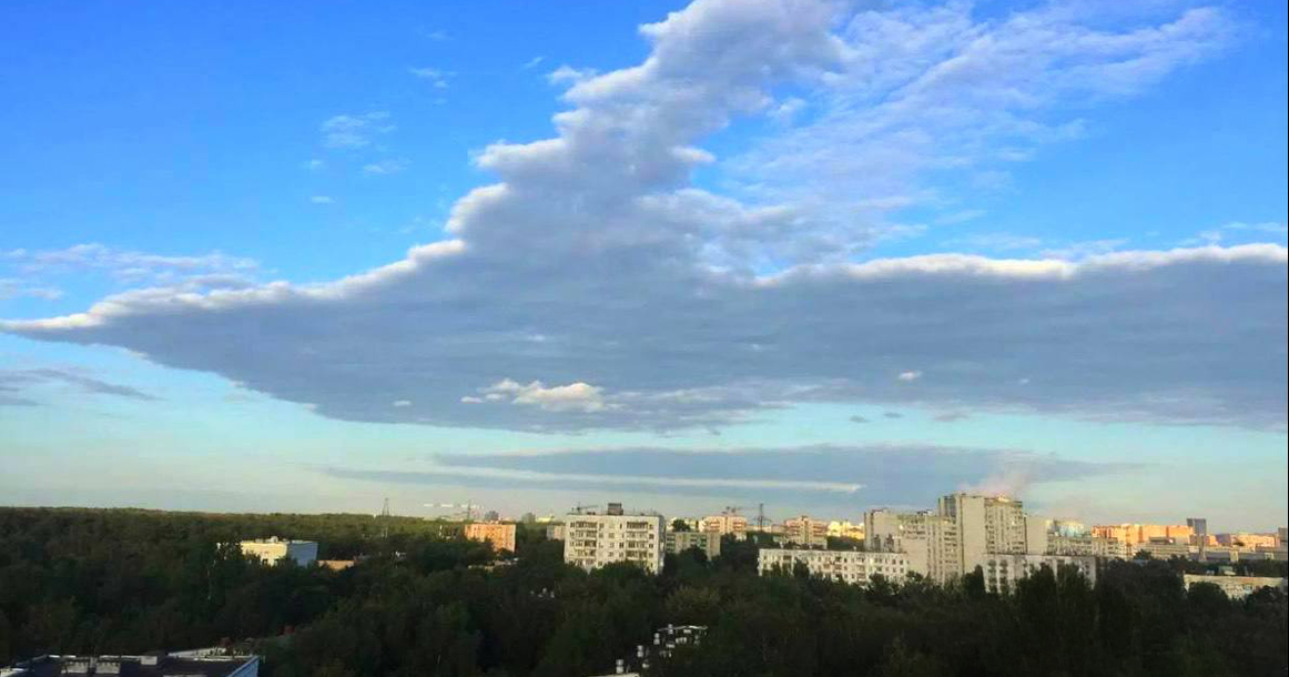 Район Метрогородок накрыл огромный белый голубь