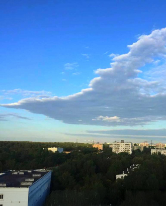 Район Метрогородок накрыл огромный белый голубь