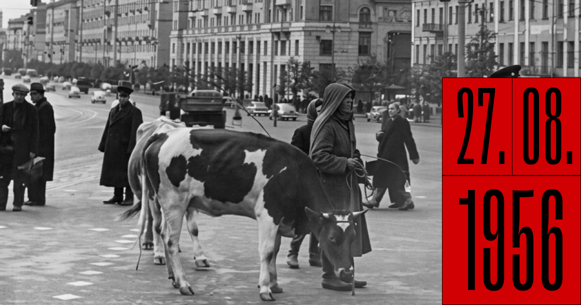 Ровно 70 лет назад с горожан, имеющих скот, начали брать налог