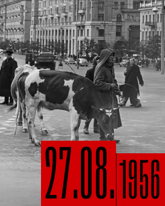 Ровно 70 лет назад с горожан, имеющих скот, начали брать налог