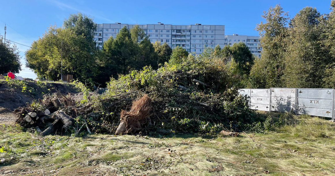 Жители Строгино бьют тревогу: в Москворецком парке началась вырубка десятков деревьев