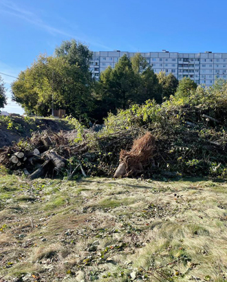 Жители Строгино бьют тревогу: в Москворецком парке началась вырубка десятков деревьев