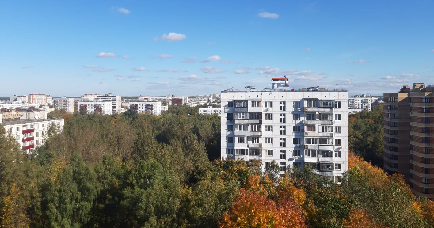 Вид из моего окна: на Гольяново и Лосиный остров
