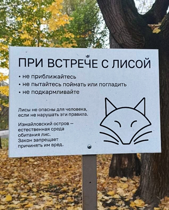 «Не приближайтесь»: в Измайлово появились таблички, которые учат гуляющих обращаться с лисами
