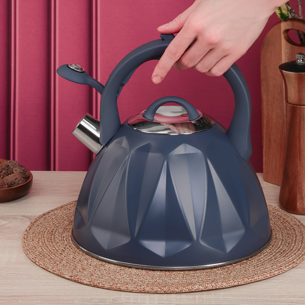 SATOSHI Чайник стальной 2,7л "Ривьера", индукция - #10