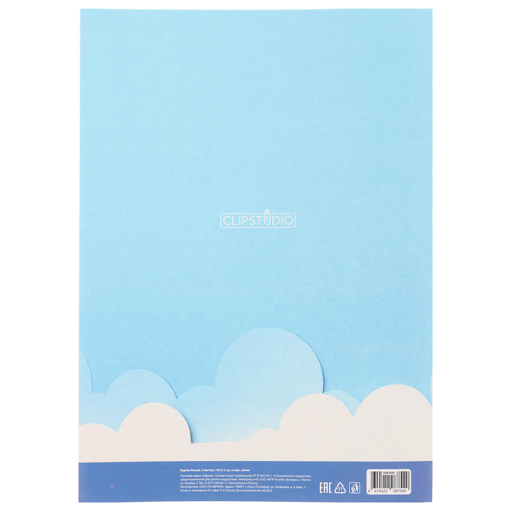 Картон белый 5 листов, 19х27,5 см, в карт. папке - #4