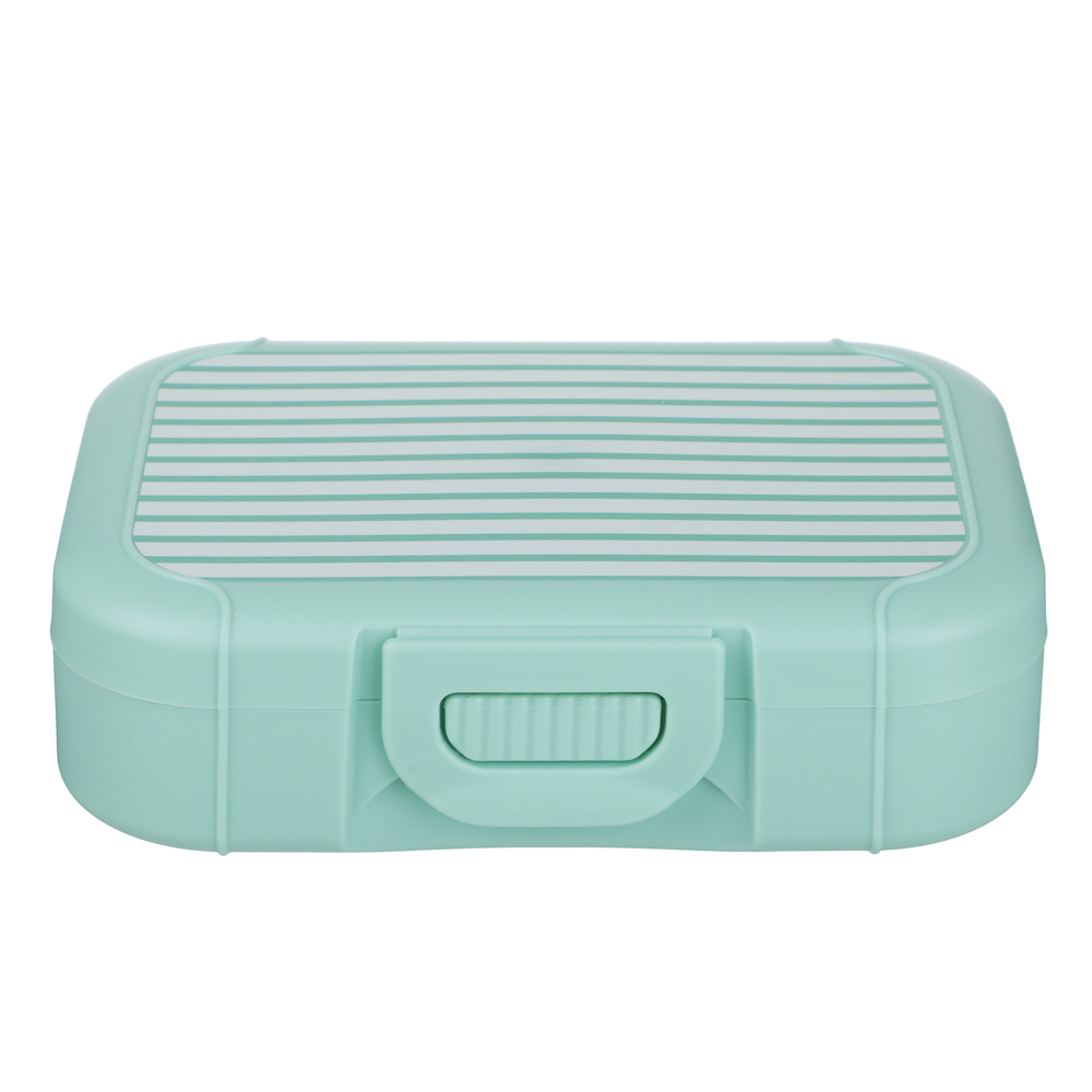 Черри Ланч-бокс 0,85л (18х12,5х5,5см), пластик, 2 цвета - #4