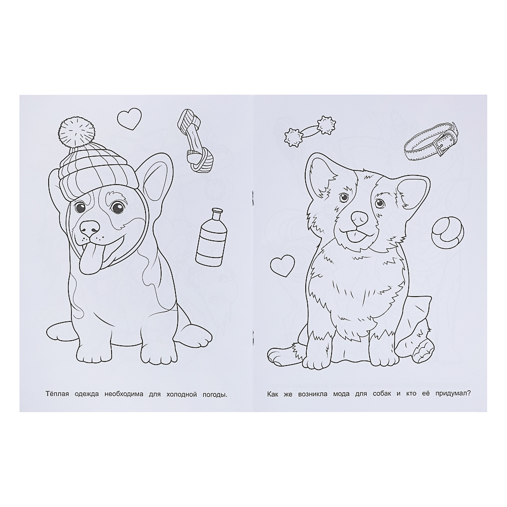 Раскраска 21,4х29 см, бумага, 16 стр., 5 дизайнов - #7