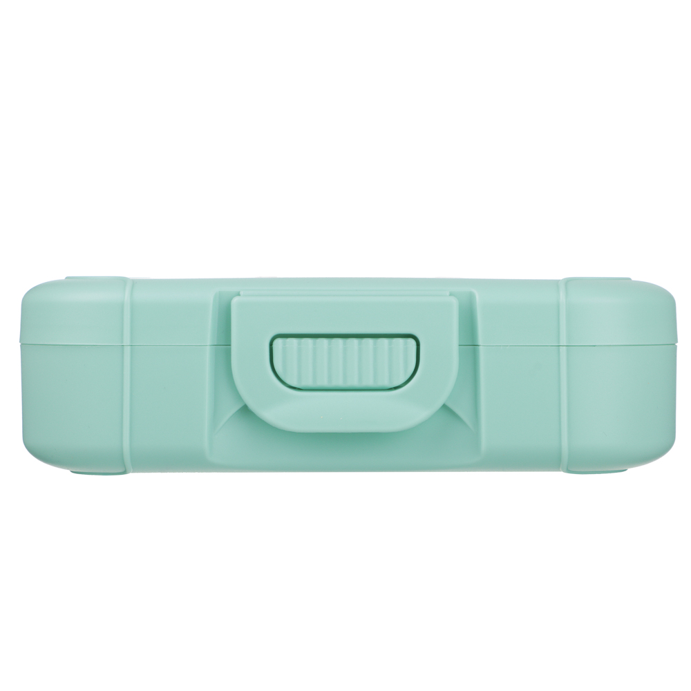 Черри Ланч-бокс 0,85л (18х12,5х5,5см), пластик, 2 цвета - #5