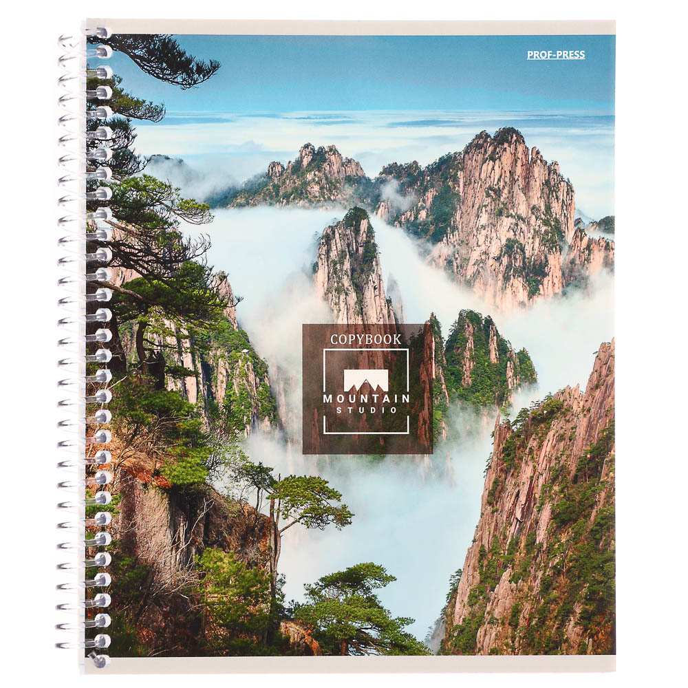 Тетрадь общая, 96 листов, в клетку, БЕЛЫЕ ЛИСТЫ, обл.мел. картон, спираль, микс - #25