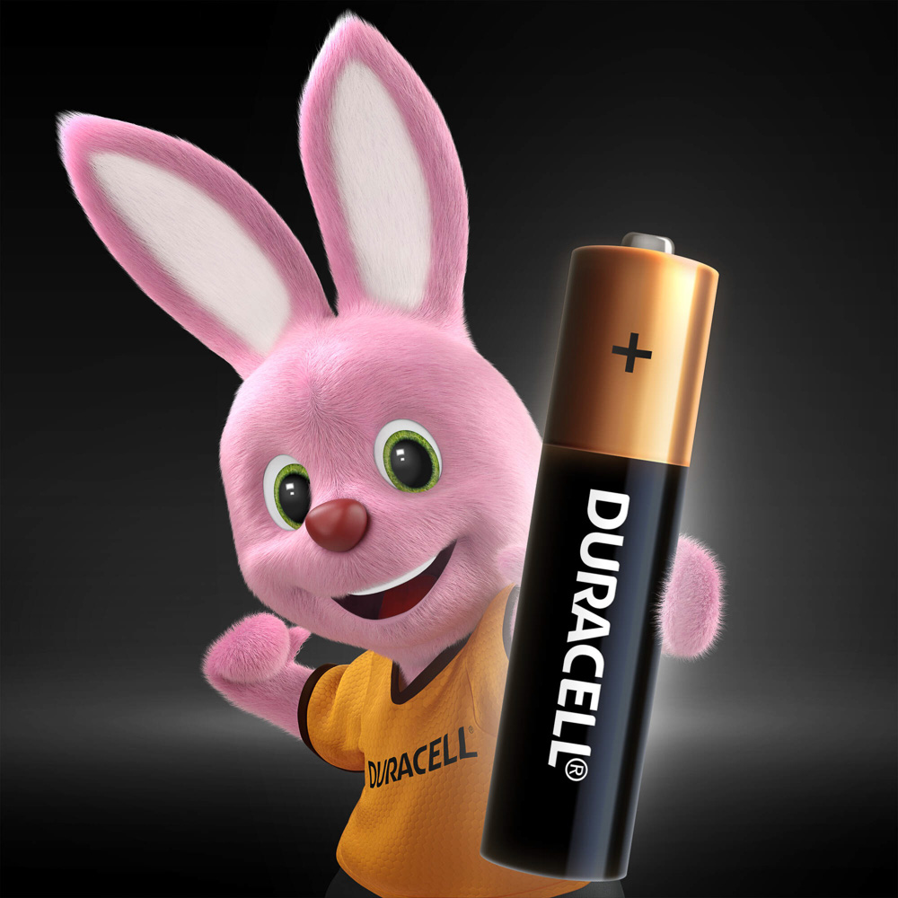 DURACELL Basic Батарейки 4шт, тип AAA, BL - #6