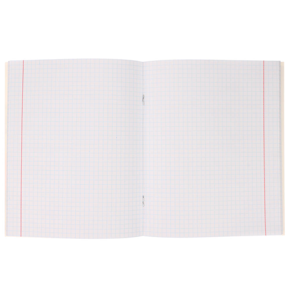 Тетрадь 48л. в клетку, офсет, обл. мел.картон, скрепка, твин лак, микс - #10