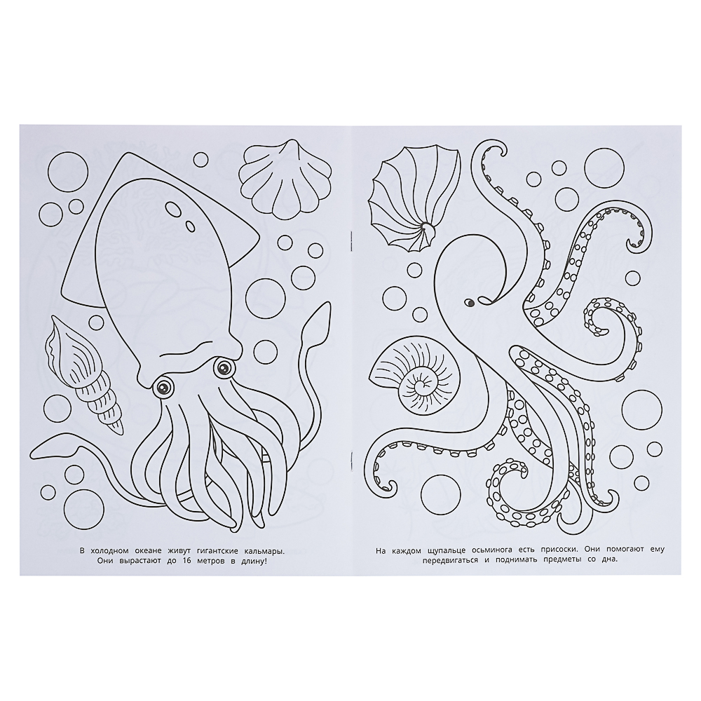 Раскраска 21,4х29 см, бумага, 16 стр., 5 дизайнов - #13