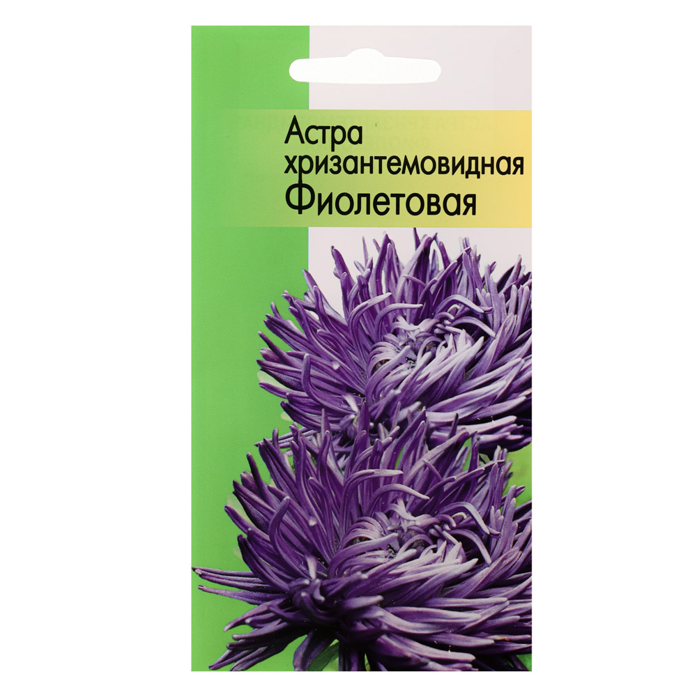 Семена Астра хризантемовидная Фиолетовая - #1