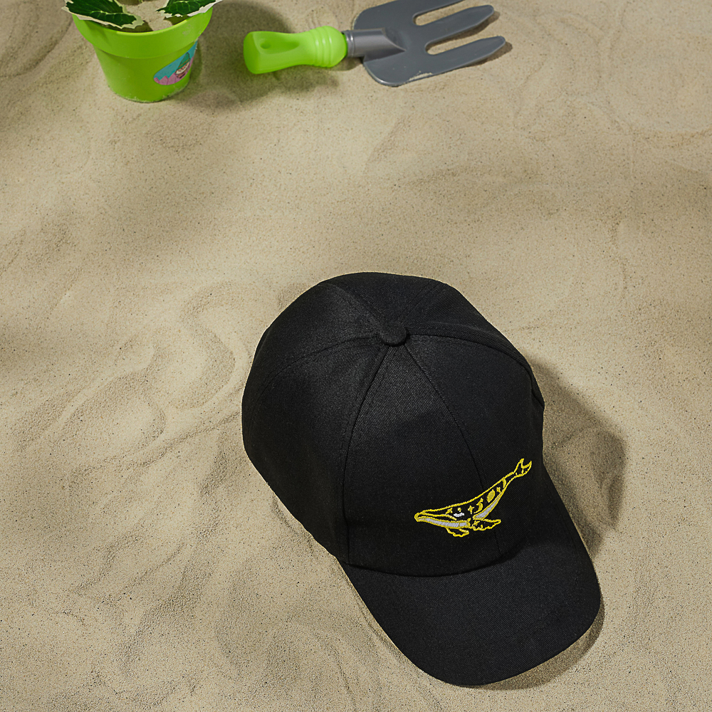 GALANTE Кепка детская, 30% хлопок, 70% полиэстер, р-р 52, 4 дизайна, ВЛ24-03 - #10