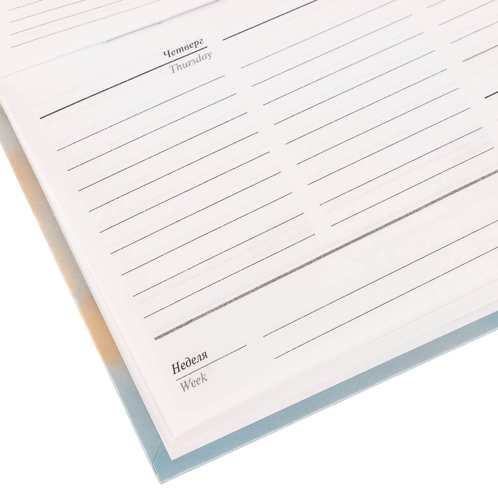Ежедневник-планинг недатированный ClipStudio, формат А6, 64 листа, обложка 7БЦ - #5