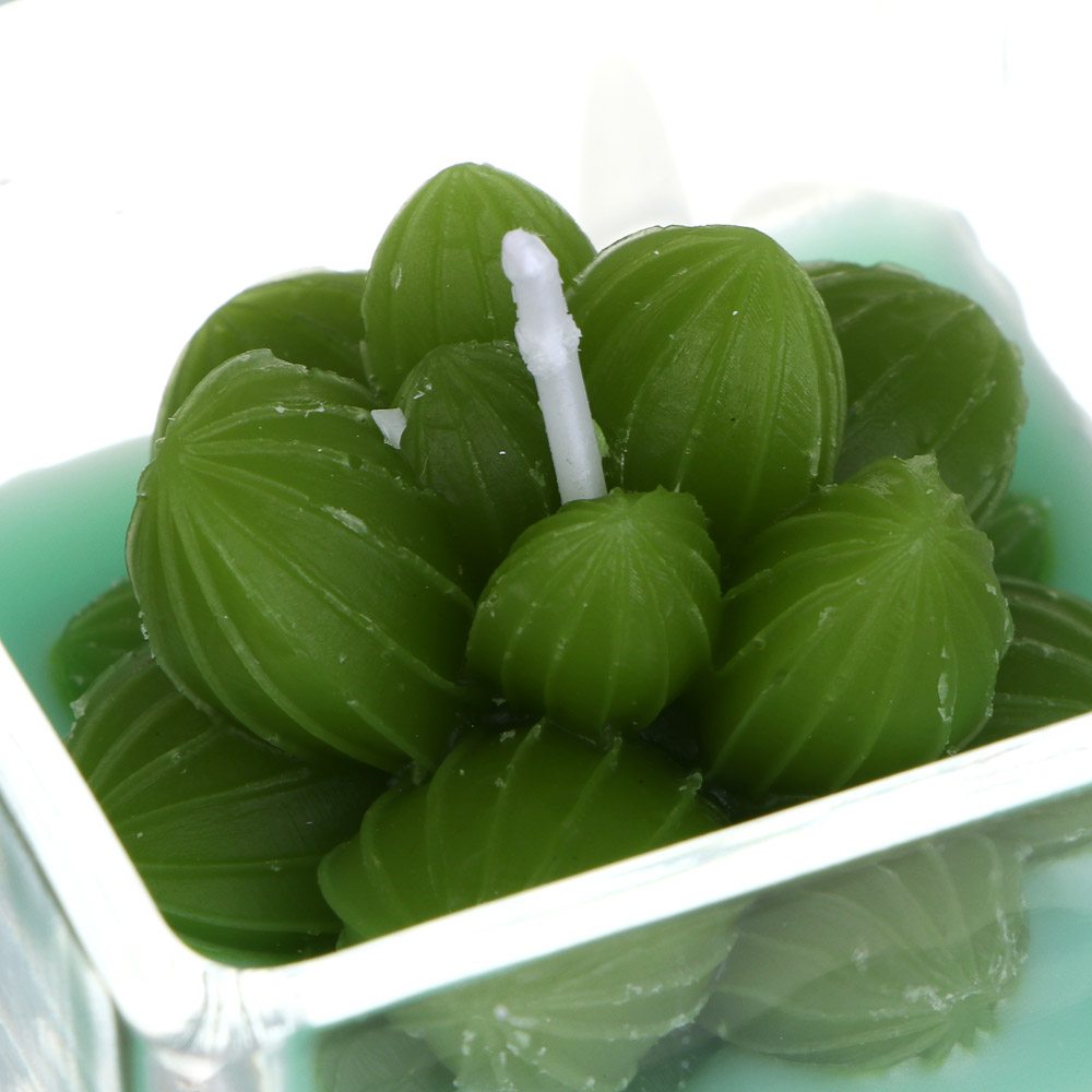 Свеча - кактус, парафин, 6x6,5 см, стеклянный подсвечник - #4