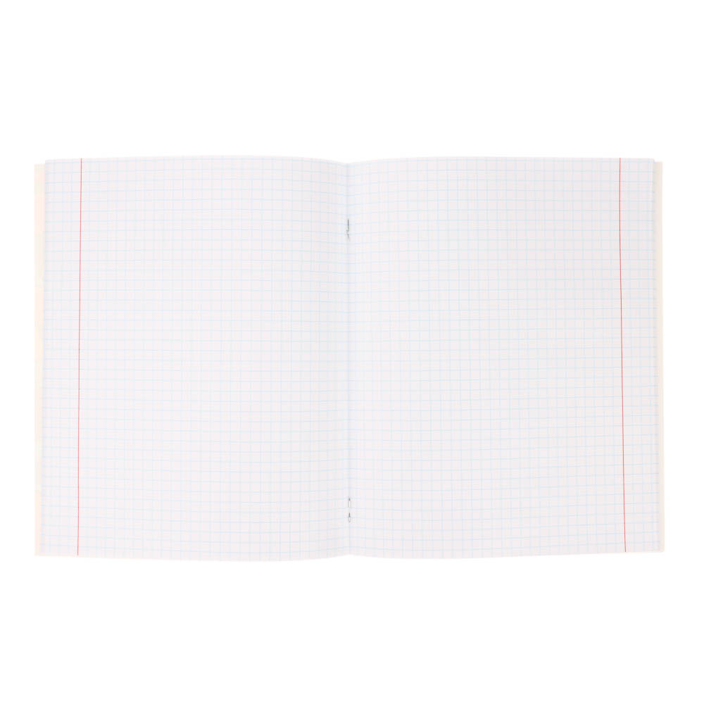 Тетрадь 48л. в клетку, офсет, обл. мел.картон, скрепка, твин лак, микс - #20