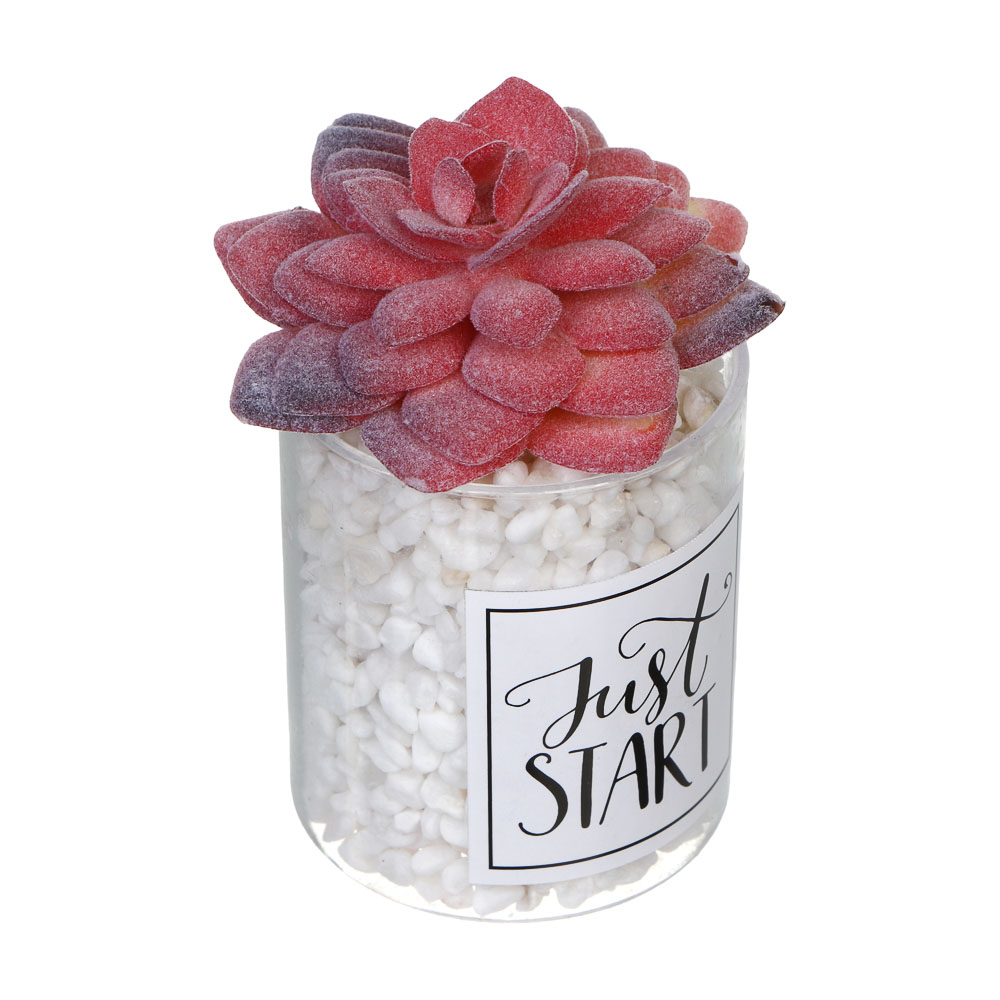 LADECOR Суккулент искусственный, 5х9-11 см, пластик, 3 дизайна - #3