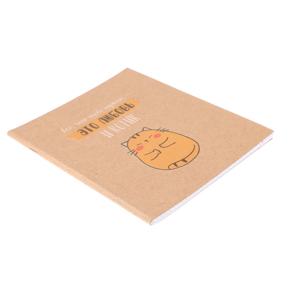 ClipStudio Тетрадь 48л. в клетку, офсет, обл. мел.картон, скрепка, крафт, 4 диз. - #11