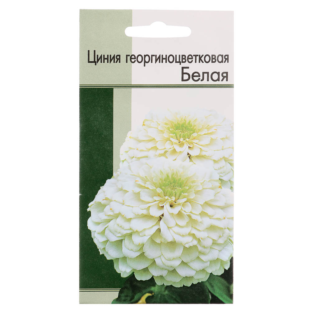 Семена Цинния Георгиноцветковая Белая - #1