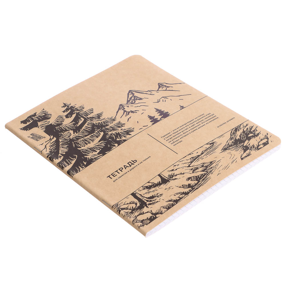 Тетрадь общая Русские Супергерои, формат А5, 48л. в клетку, на скобе, скругленные углы, в ассортим. - #7