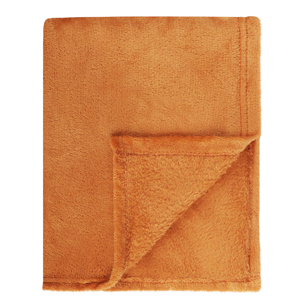 PROVANCE Плед, микрофибра, 130х150см, 180гр/м, "Уют", 2 цвета - #1