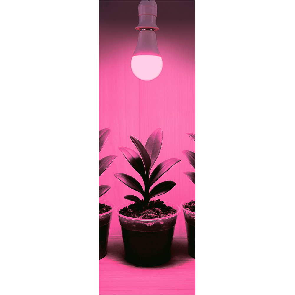 INBLOOM Лампочка для растений, 5x5.4см, 80LED (52R+28B), Е27, 3.6Вт, PC - #4